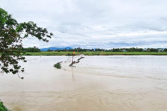 Mưa lớn bất thường làm vỡ đập tạm ngăn mặn 