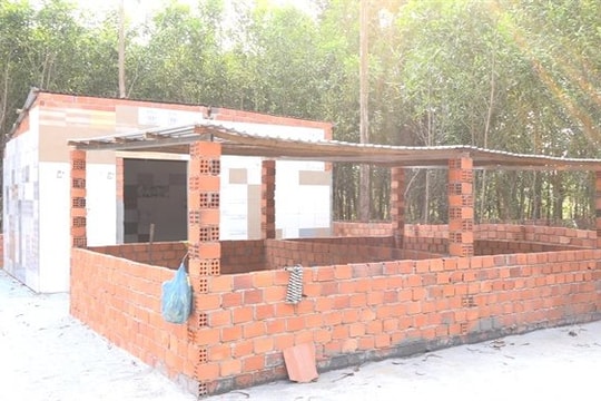 Xây nhà, trồng cây trên đất quy hoạch: Coi chừng mất trắng, bị phạt nặng