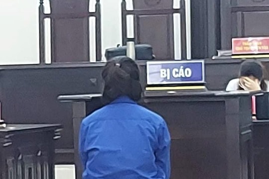 Lừa đảo bạn học, nữ bị cáo lĩnh án 20 năm tù