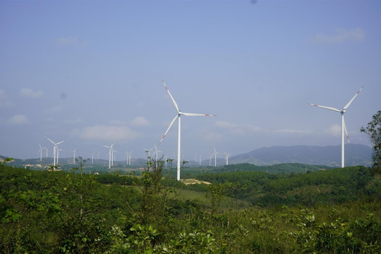 Để đạt Net Zero 2050​ giá điện phải tăng thêm 30%