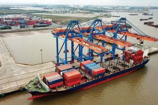 TP HCM thu hơn 55 tỉ đồng phí hạ tầng cảng biển sau gần 10 ngày