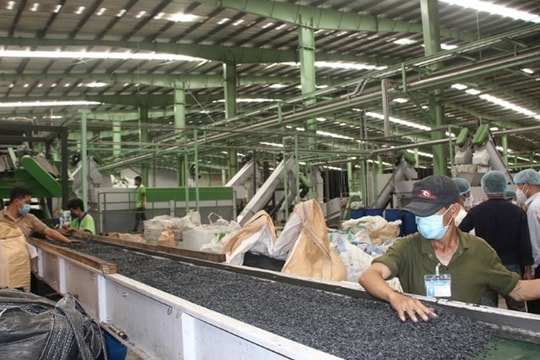 Đầu tư nhà máy tái chế nhựa và nỗ lực giảm 70.000 tấn rác nhựa sau một thập kỷ của Tân Hiệp Phát