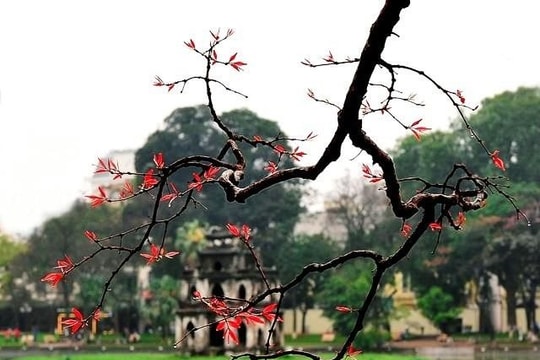 Trang tin du lịch của Đức: Hà Nội là một trong những điểm đến ưa thích nhất Đông Nam Á