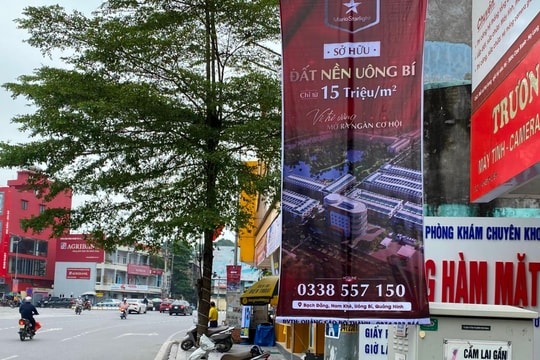 Quảng Ninh: Siết chặt thông tin quảng cáo dự án bất động sản trái phép