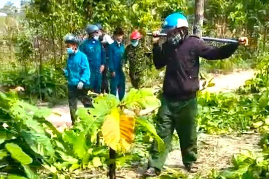 Tổng cục Lâm nghiệp vào cuộc vụ nhân viên bảo vệ rừng bị hành hung trong lúc làm nhiệm vụ