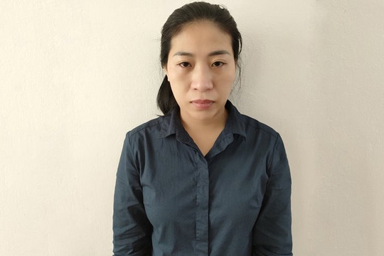 Lừa mượn tiền đáo hạn ngân hàng, chiếm đoạt gần 11 tỷ đồng