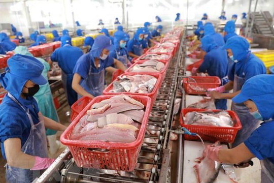 36 tỉnh, thành phố được xếp hạng quản lý an toàn thực phẩm nông, lâm, thủy sản tốt