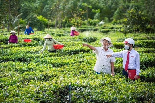 Bản lĩnh mang tên Agribank
