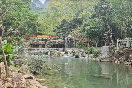 Suối Mỏ Mắm: Điểm dừng chân hấp dẫn tại Xứ Lạng

