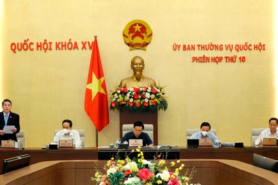 Vi phạm liên quan đến mua sắm tài sản công gây thất thoát, lãng phí và bức xúc trong nhân dân