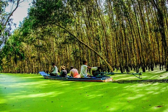 Tạp chí Travel đánh giá đồng bằng sông Cửu Long là điểm đến tiềm năng