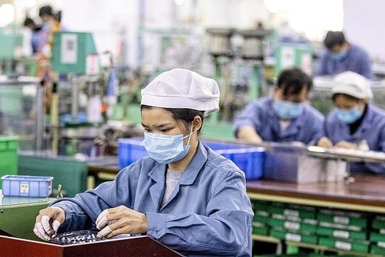 Kỳ vọng thị trường lao động sẽ tiếp tục cải thiện