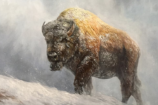 Những con giáp tuổi trẻ luôn nỗ lực không ngừng, làm việc hết mình, có trí lập nghiệp, đến hậu vận hạnh phúc viên mãn, an nhàn hưởng phúc