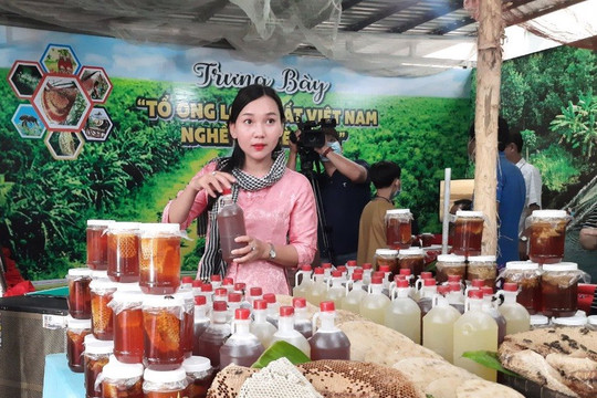 Cà Mau: Về nơi cuối trời Tổ quốc  ngắm “Tổ ong và Lẩu mắm lớn nhất Việt Nam”
