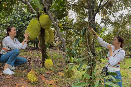 Chán làm siêu mẫu, nay Thanh Hằng bất ngờ vào vai 'cô gái miệt vườn', có lầy lội phá hình ảnh cỡ nào thì nhan sắc cũng cứu lại hết