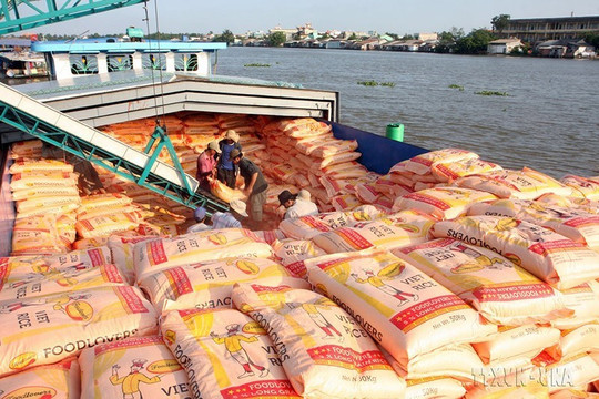 Xuất khẩu gạo trong 4 tháng đầu năm vượt mốc 1 tỷ USD