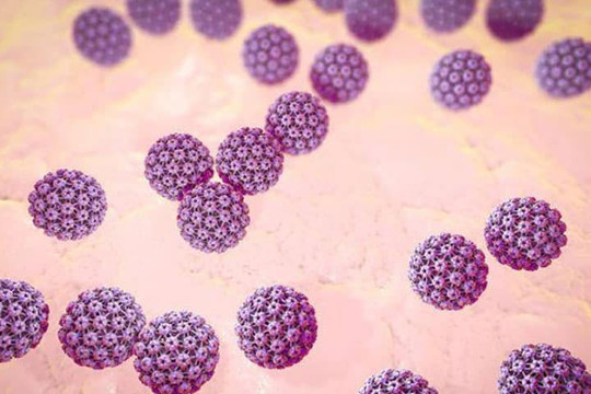 Người phụ nữ 60 tuổi nhiễm virus HPV không để ý mà chết vì ung thư cổ tử cung. Bác sĩ: 'Cần chú ý 2 triệu chứng chính'
