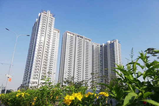 Triển khai kiểm tra tình hình quản lý, sử dụng nhà chung cư