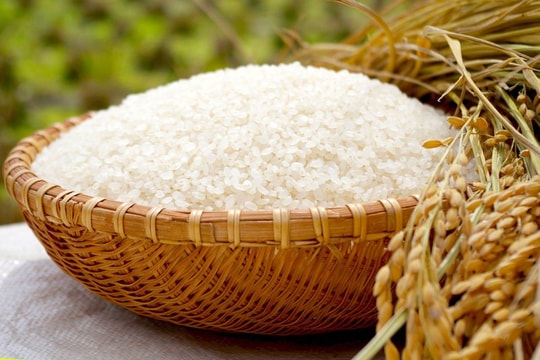 Xuất khẩu gạo sẽ có nhiều đột phá