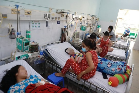 Sốt xuất huyết tại TP.HCM đang ở mức báo động
