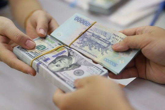 Kho bạc Nhà nước tăng mua ngoại tệ