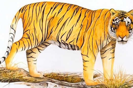 Từ ngày 25/5 đến 31/5, tài lộc hanh thông, Thần Tài mang đến của cải, tiền tiêu không hết