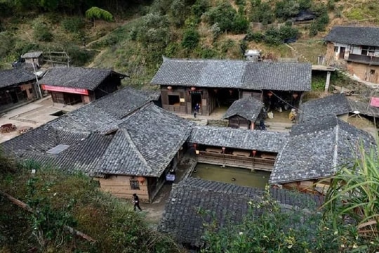 Bao quanh bởi rừng cây, ao nước thế nhưng cả thế kỷ ngôi làng này không xuất hiện con muỗi nào: Khoa học chưa tìm ra lời giải!