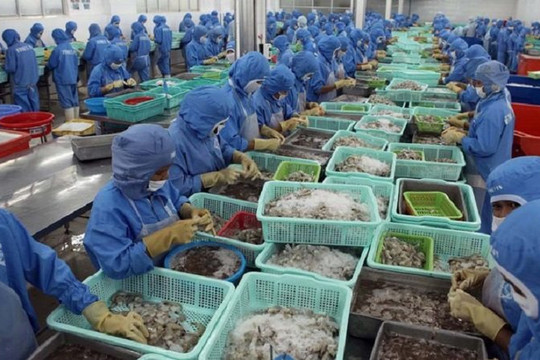 Dự báo xuất khẩu hải sản quý II sẽ chững lại