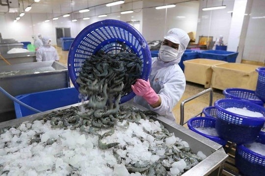 Xuất khẩu tôm 4 tháng đạt đỉnh 5 năm