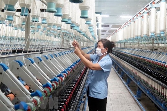Đẩy mạnh việc sắp xếp, cổ phần hóa, thoái vốn, cơ cấu lại DN Nhà nước