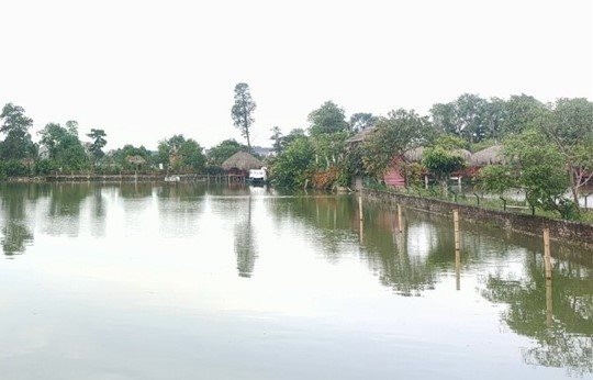 Bé trai 4 tuổi tử vong khi đi thăm quan trang trại
