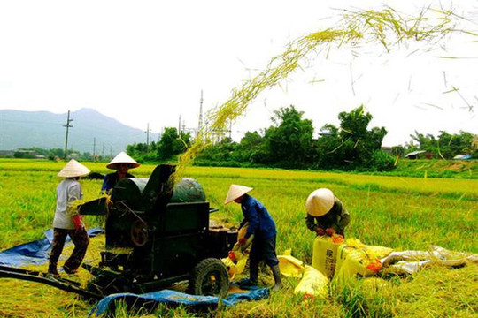 Giao dự toán ngân sách Trung ương thực hiện 3 chương trình mục tiêu quốc gia