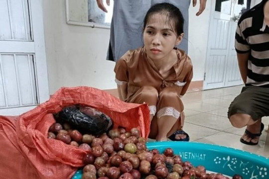 Khởi tố người phụ nữ giấu 4 bánh heroin trong bao tải mận