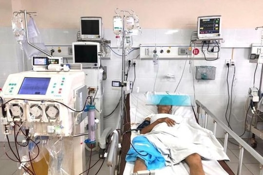 Suy gan cấp, tổn thương thận sau bữa cỗ có lá du mại
