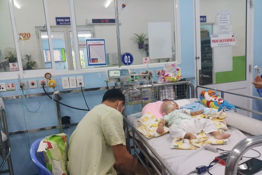Hơn 10.000 ca mắc sốt xuất huyết ở TP.HCM, cảnh báo nguy cơ bùng dịch