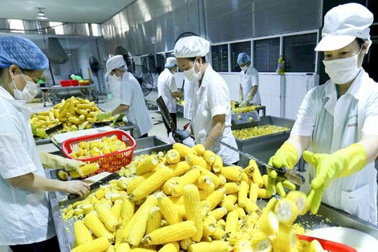 9 mặt hàng nông sản xuất khẩu đã vượt mốc 1 tỷ USD