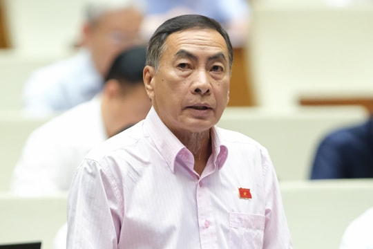 Luật Sở hữu trí tuệ: Cần cấm hành vi cản trở việc phổ biến, sử dụng Quốc kỳ, Quốc ca
