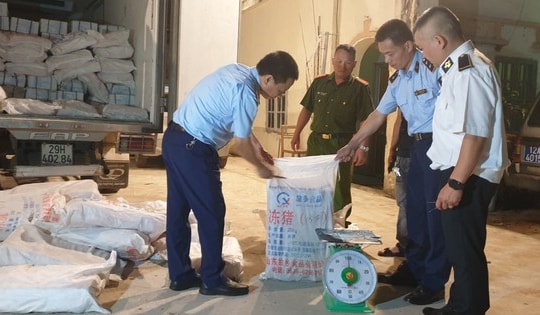 Vận chuyển 1 tấn nầm lợn chảy nước, bốc mùi đi tiêu thụ