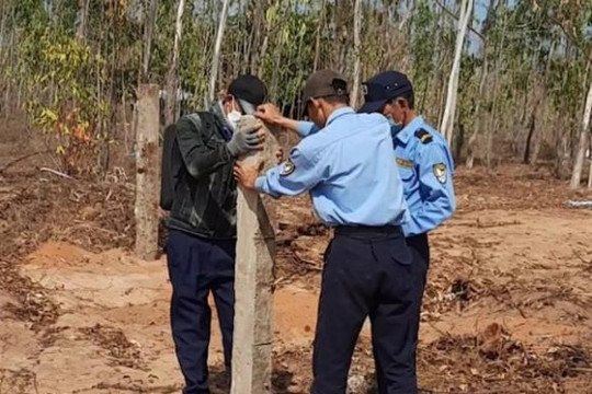 Bình Thuận: Nhân viên công ty bảo vệ ngang nhiên hủy hoại tài sản của người dân