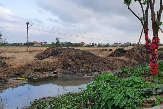 Công ty TNHH Quốc tế LV cố tình vi phạm pháp luật để triển khai dự án