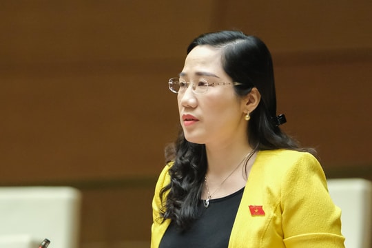 ĐBQH: Sẽ không thể tác động được vào đấu giá đất nếu không có “tay trong”