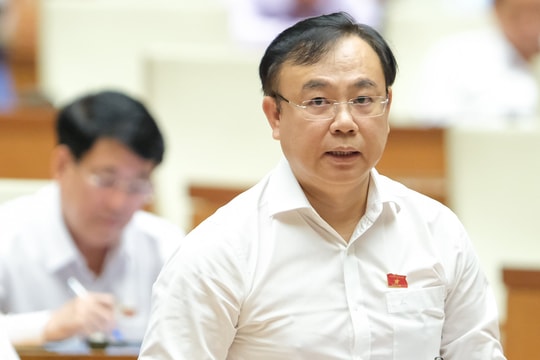 ĐBQH băn khoăn việc kéo dài nghị quyết về xử lý nợ xấu
