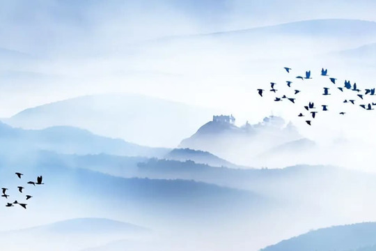 Những người có 4 đặc điểm trên bàn ăn thường là người xấu tính