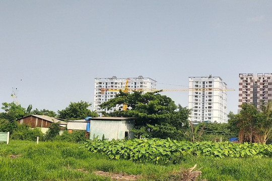 TP Thủ Đức, TPHCM: Nhức nhối tình trạng cư trú bất hợp pháp tại các nhà ở trái phép trên đất nông nghiệp