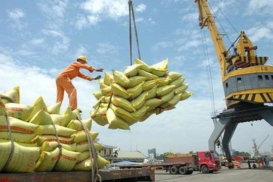 Bức tranh sáng cho xuất khẩu gạo nửa cuối năm 2022 