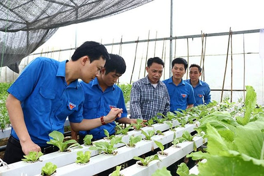 Thanh niên khởi nghiệp cùng đất nước phục hồi và bứt phá sau đại dịch