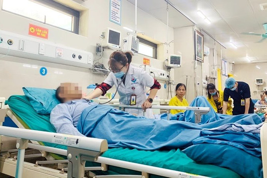 Sốc phản vệ nặng do đàn ong vàng đốt