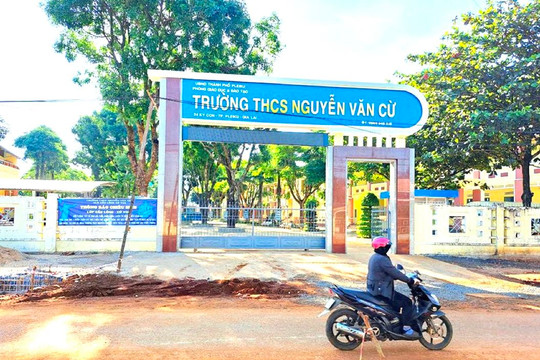 Gia Lai: Buộc thôi việc Phó Hiệu trưởng cấp 2 vì sử dụng bằng giả