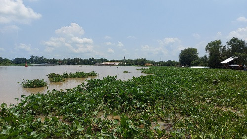 Tây Ninh: Đánh thức tiềm năng trên sông Vàm Cỏ Đông