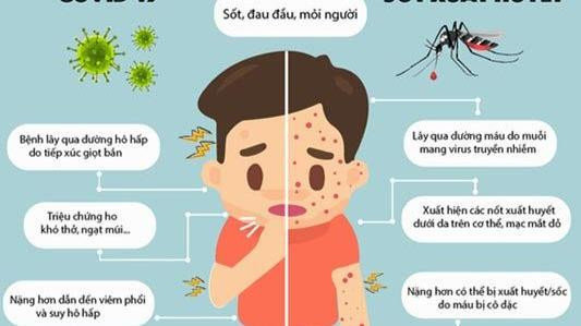 TP Hồ Chí Minh: Số ca sốt xuất huyết tăng mạnh, nguy cơ bùng phát dịch 